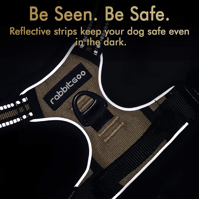 rabbitgoo Dog Harness, No-Pull Pet Harness with 2 Leash Clips, Adjustable Soft Padded Dog Vest, Reflective No-Choke Pet Oxford Vest with Easy Control Handle for Medium Dogs, Beige, M - PAWPICO