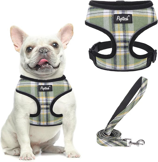 PUPTECK Soft Mesh Dog Harness and Leash Set Pet Puppy Cat Comfort Padded Vest No Pull Harnesses, Green/Yellow, M PUPTECK