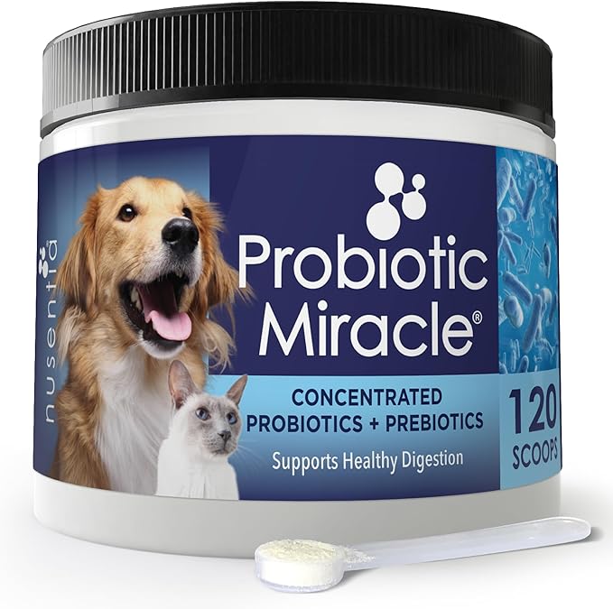 Probiotics for Cats & Dogs : Probiotic Miracle : Bowel & Gut Support : Digestive Health : Stop Diarrhea, Loose Stool NUSENTIA