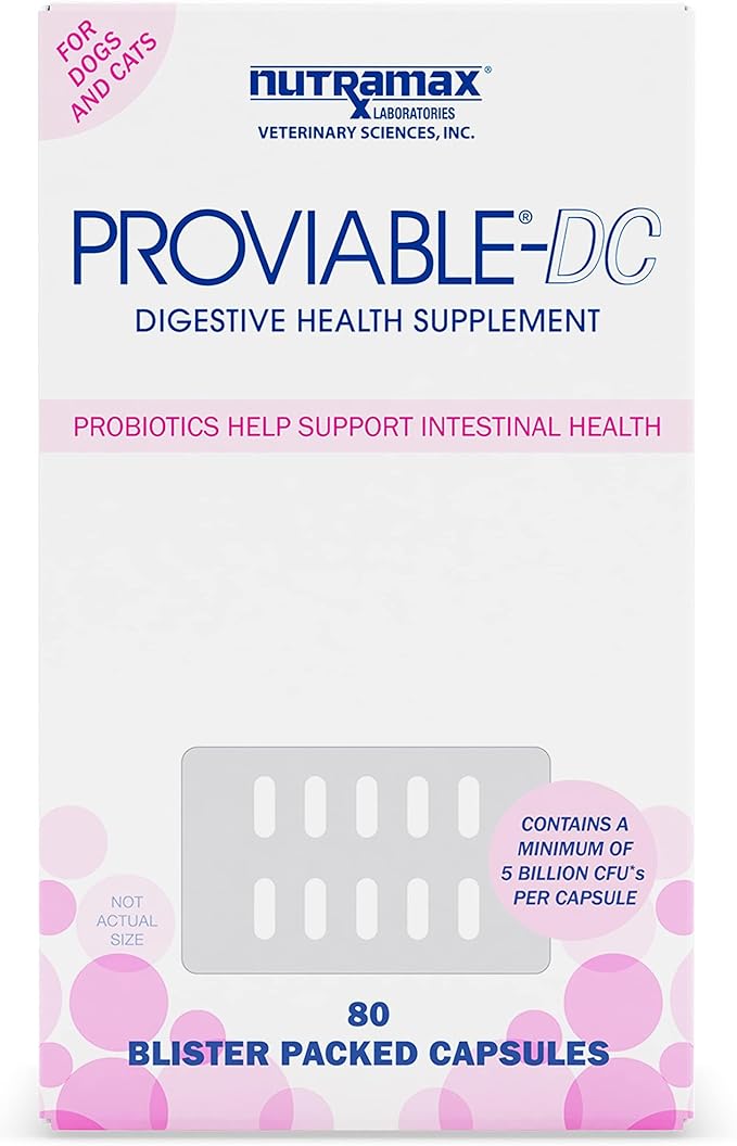 Nutramax Proviable Digestive Health Supplement Multi-Strain Probiotics and Prebiotics for Cats and Dogs - with 7 Strains of Bacteria, 80 Capsules, blue NutramaxLaboratories