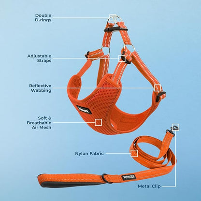 Best Pet Supplies Voyager Adjustable Dog Harness Leash Set with Reflective Stripes for Walking Heavy-Duty Full Body No Pull Vest with Leash D-Ring, Breathable All-Weather - Harness (Orange), S BestPetSuppliesLLC