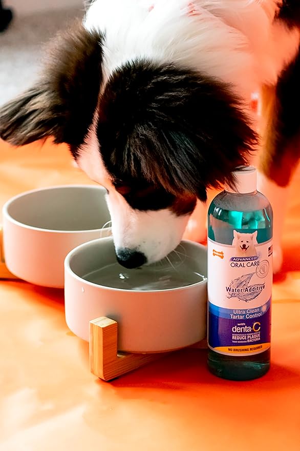 Nylabone Advanced Oral Care Dog Water Additive for Dental Care - Liquid Tartar Remover - Dog Breath Freshener & Teeth-Cleaning Liquid (16 oz.) Nylabone