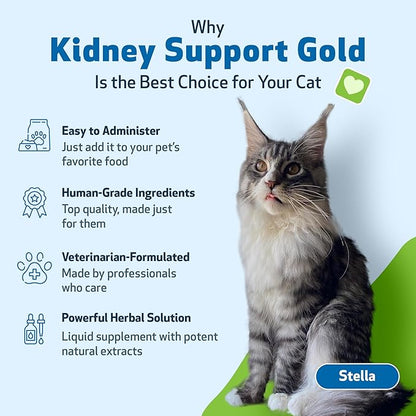 Pet Wellbeing Kidney Support Gold for Cats - Supports Healthy Kidney Function, Fluid Balance, Energy Levels, Rehmannia, Dong Quai - Veterinarian-Formulated Herbal Supplement 2 oz (59 ml) PetWellbeing