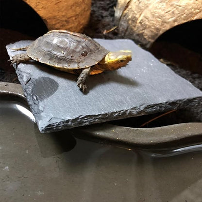 Reptile Basking Platform 2Pcs 7.8'' Tortoise Rock Plate Slate Feeding Platform Food Dish Bowl Turtle Bathing Rock Rest Terrace for Chameleon Lizard Bearded Dragon Gecko Snake Frog Newt (20CM) Tfwadmx