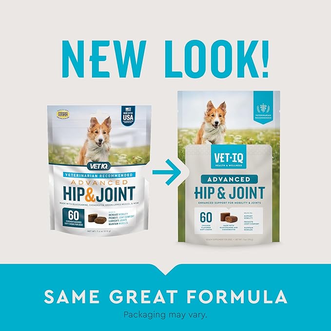 VetIQ Advanced Hip & Joint Chews For Dogs, 60 Count, Chicken Flavored Supplements Made with Glucosamine, Omega 3’s, Chondroitin, MSM, and Green Lipped Mussel, Increases Mobility and Maintains Muscles VetIQHealthSupplements