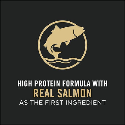 Purina Pro Plan High Protein Cat Food With Probiotics for Cats, Salmon and Rice Formula - 7 lb. Bag - PAWPICO