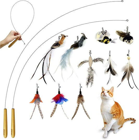 Interactive Bird and Insect Simulation Cat Toy Set with 10Pcs Feather Refills and 2Pcs Cat Wand Toy,29'' Flexible Steel Wire, Sturdy Wood Handle & Bell,Cat Wand Toys for Indoor Cat and Kitten. - PAWPICO