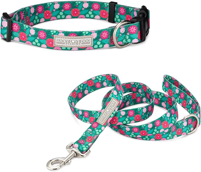 Lucky Love Dog Combo Set, Dog Collar & Leash Set for Medium Dogs, Colorful Matching Collar and Leash Set for Girl or Boy Dogs, Penny Combo, Medium LuckyLoveDog