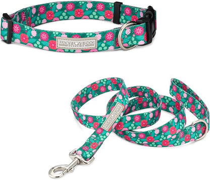 Lucky Love Dog Combo Set, Dog Collar & Leash Set for Medium Dogs, Colorful Matching Collar and Leash Set for Girl or Boy Dogs, Penny Combo, Medium LuckyLoveDog