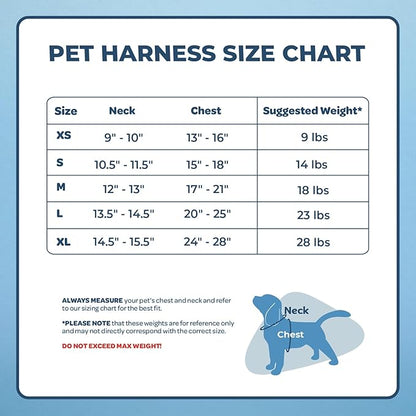 Voyager Aerolite No Pull Mesh Dog Harness with Lightweight, Soft, Breathable, Reflective Stitching, and Adjustable Straps for Walking, Running, Training, Heavy Duty and Durable - Fuchsia, M BestPetSuppliesLLC