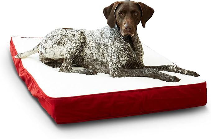 Happy Hounds Oscar Rectangle Orthopedic Foam Sherpa Dog Bed, Medium (42 x 30 in.), Red - PAWPICO