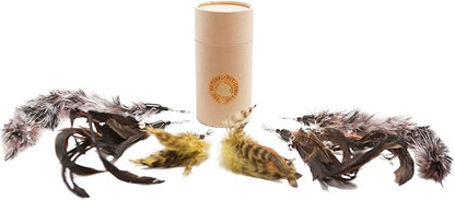 The Natural Pet Company Cat Toys Feather Refill 6 Pack - Add Life to Your Cat's Favorite Toy with This Interchangeable Feather Refill Multipack (As Photographed). - PAWPICO
