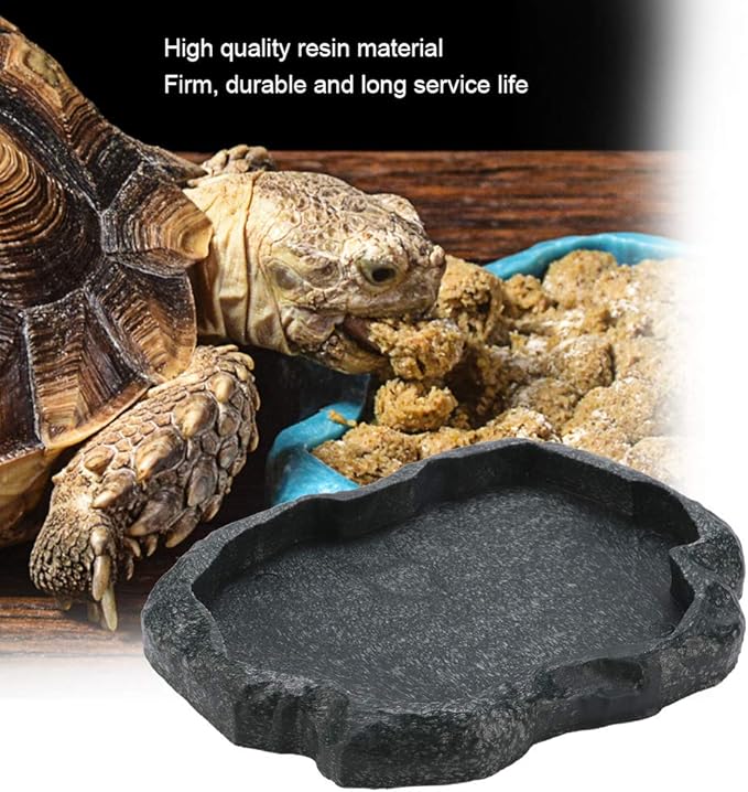 HEEPDD Reptile Bowl, Resin Rock Reptile Food and Water Feeder Pet Aquarium Ornament Terrarium Dish Plate for Tortoise Lizard Iguana(Dark Green M) PAWPICO