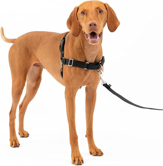 PetSafe Easy Walk No-Pull Dog Harness - The Ultimate Harness to Help Stop Pulling - Take Control & Teach Better Leash Manners - Helps Prevent Pets Pulling on Walks, Medium, Black/Silver PetSafe