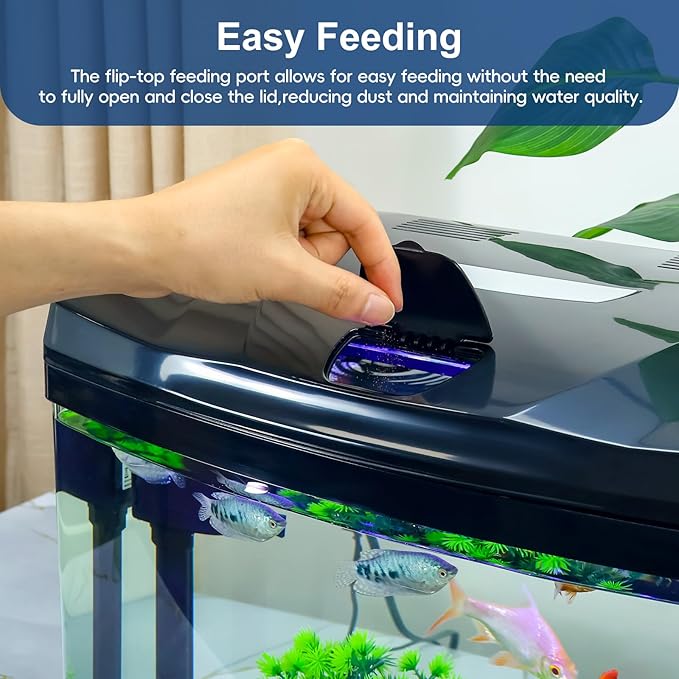 10 Gallon Glass Aquarium Starter Kit with Flip-Top Feeding Port for Betta Fish: Crystal Clear Viewing, Eco-Cycle Filtration, Air Pump, and LED Lighting Bluecoco