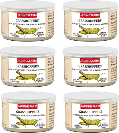 6 Pack Canned Grasshoppers for Reptiles, Fish, Birds and Small Animals, Grasshoppers, Healthy High Protein Treat, Bearded Dragon Food 1.2 Ounces Each Jadingfarm