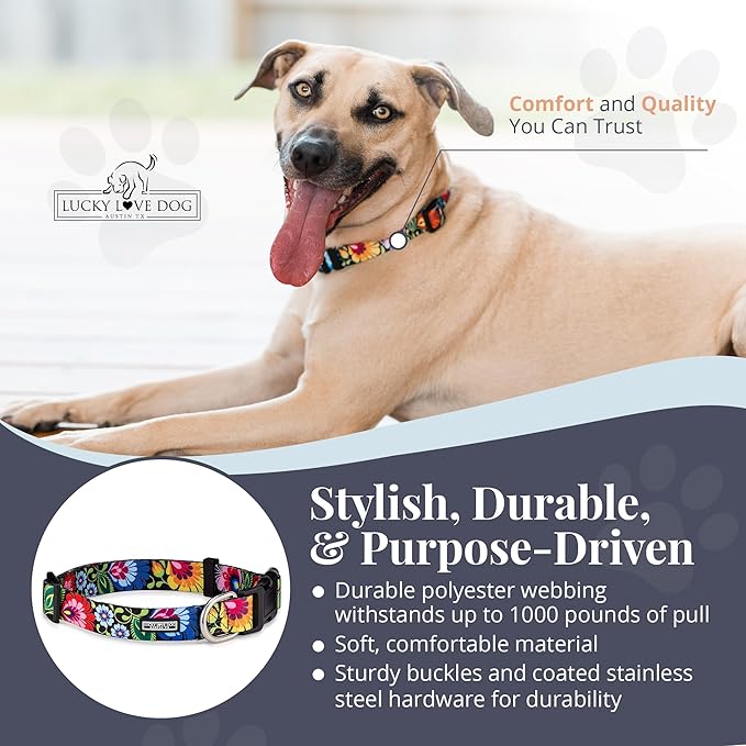 Lucky Love Dog - Adjustable Dog Collar with Easy Click Buckle for Small to Large Dogs, Durable, & Comfortable Collar for Male & Female Dogs, Pet Collar for Puppies & Adult Dogs - Blackbird, Large LuckyLoveDog