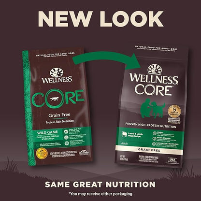 Wellness Core Natural Grain Free Dry Dog Food, Lamb, 4-Pound Bag - PAWPICO