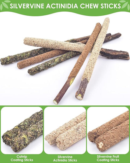 TINDTOP Catnip Chew Toys for Cats, 12 Pack Natural Silvervine Sticks for Kittens Teeth Cleaning, Matatabi Dental Care, Increase Appetite, Calm Cat Anxiety and Stress, Aggressive Chewers Cat Dental Toy - PAWPICO