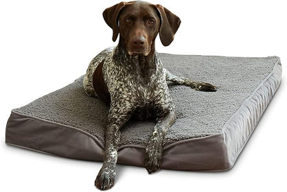 Happy Hounds Oscar Rectangle Orthopedic Foam Sherpa Dog Bed, Medium (42 x 30 in.), Pewter - PAWPICO