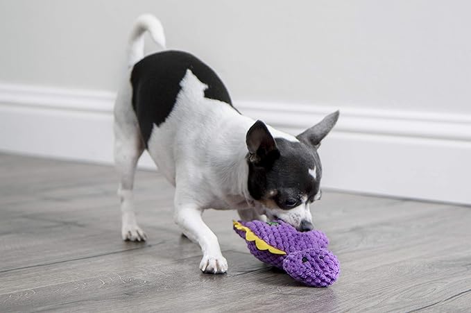 goDog Checkers Just for Me Dinos Bruto Squeaky Plush Dog Toy, Chew Guard Technology - Purple, Mini - PAWPICO