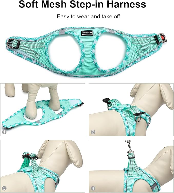 Mercano Soft Mesh Dog Harness and Leash Set, No-Chock Step-in Reflective Breathable Lightweight Easy Walk Escape Proof Vest Harnesses with Safety Buckle for Small Medium Dogs, Cats (Light Green, L) PAWPICO