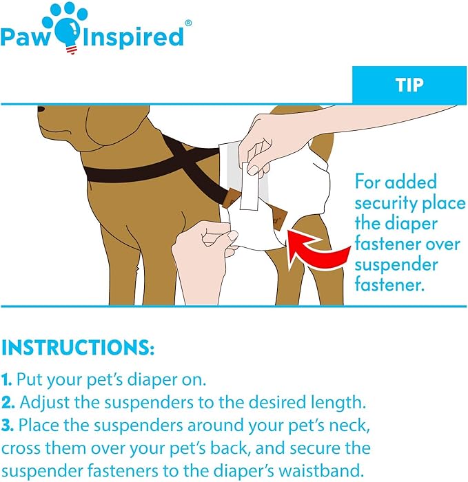 Paw Inspired Dog Diaper Suspenders with Velcro Fasteners | Stretchy Adjustable Suspenders for Female and Male Disposable and Washable Diapers | Fits Small, Medium and Large Size Pets (M/L, Aqua) - PAWPICO
