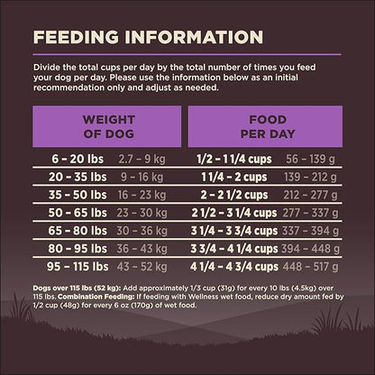 Wellness CORE Grain-Free Senior Dry Dog Food, Made in USA with Real Turkey and Natural Ingredients, With Nutrients for Immune, Joint, Skin & Coat Support, 24-Pound Bag - PAWPICO