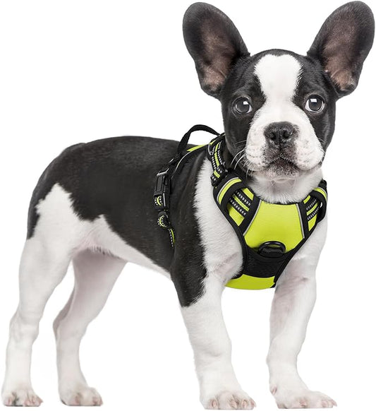 rabbitgoo Dog Harness No Pull with 2 Leash Clips, Adjustable Soft Padded, Reflective Oxford No Choke Pet Vest with Easy Control Handle for Small Dogs, Wild Lime,S rabbitgoo