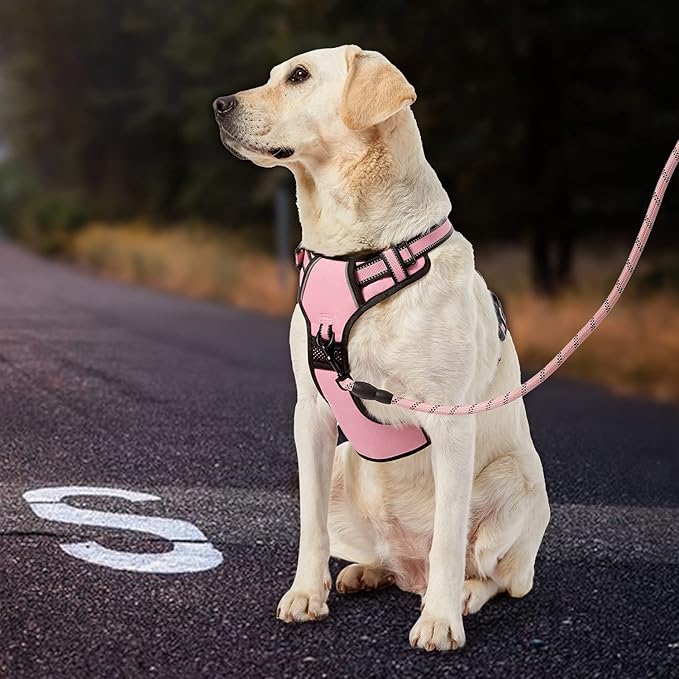 IVY&LANE No Pull Dog Harness for Large Dogs, Dog Vest Harness with Leash, Safety Belt and Storage Strap, Fully Adjustable Harness, 360° Reflective Strip, Soft Handle (Pink, XL) IVYLANE