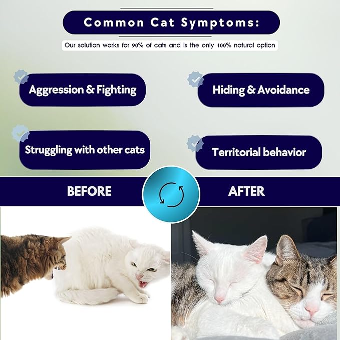 Cat Aggression Relief Calming Collar with Essential Oils, Natural Rock Diffuser, Breakaway Pet-Safe Collar for Cat Anxiety Felief, Vet-Approved (Myrrh) ROLLERPAWSTER