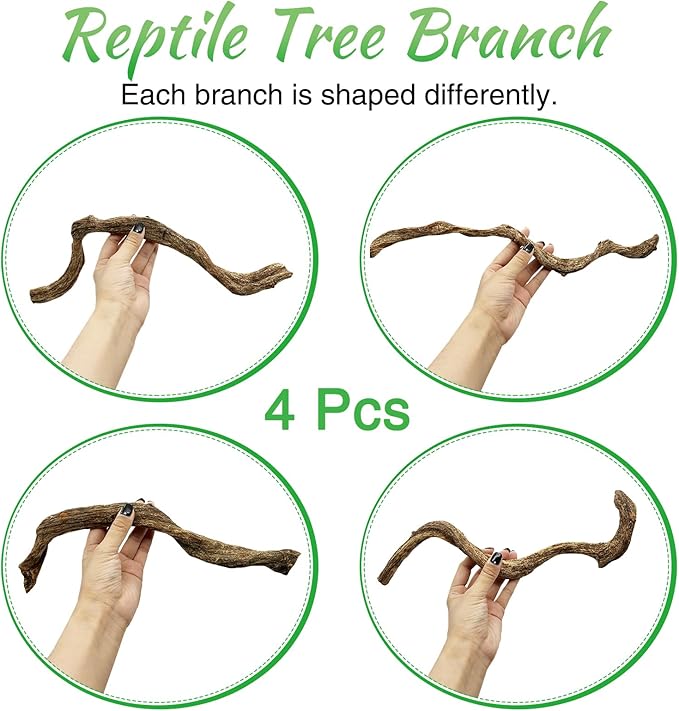 Reptile Branch Decor Snake Climbing Wood Branches Lizard Habitat Decorations Terrarium Wooden Tree Trunk Ornament for Bearded Dragon Snake Geckos Chameleon Frog 4 Pcs (14-16 inch) Apatal
