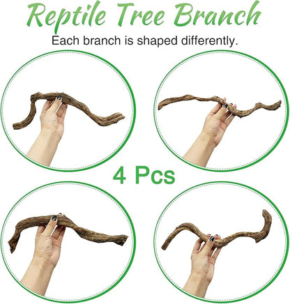 Reptile Branch Decor Snake Climbing Wood Branches Lizard Habitat Decorations Terrarium Wooden Tree Trunk Ornament for Bearded Dragon Snake Geckos Chameleon Frog 4 Pcs (14-16 inch) Apatal
