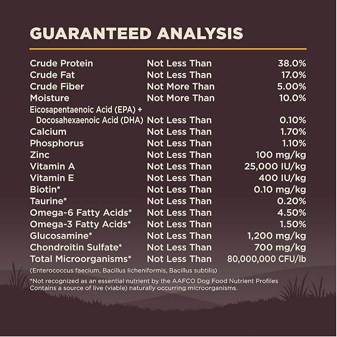 Wellness Natural Pet Food CORE Grain-Free High-Protein Small Breed Dry Dog Food, Natural Ingredients, Made in USA with Real Meat (Puppy, Turkey, 4-Pound Bag) - PAWPICO