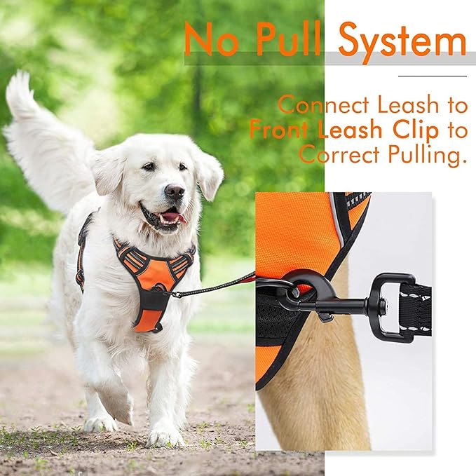 rabbitgoo Dog Harness, No-Pull Pet Harness with 2 Leash Clips, Adjustable Soft Padded Dog Vest, Reflective No-Choke Pet Oxford Vest with Easy Control Handle for Large Dogs, Orange, XL - PAWPICO