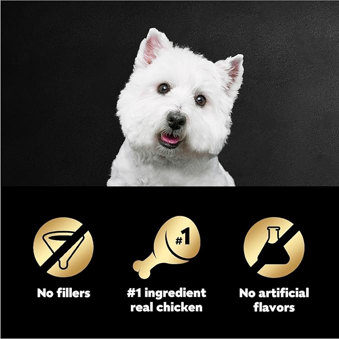 Cesar Filets in Gravy Wet Dog Food Rotisserie Chicken Flavor, 1.76 oz. Mini-Pouch, 20 Pack - PAWPICO