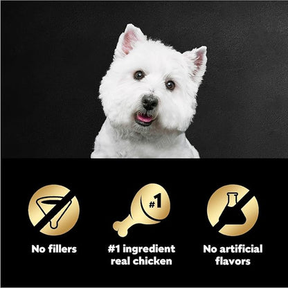 Cesar Filets in Gravy Wet Dog Food Rotisserie Chicken Flavor, 1.76 oz. Mini-Pouch, 20 Pack - PAWPICO