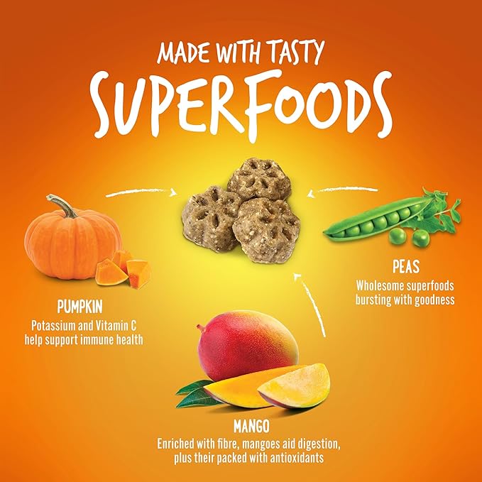 Fruitables Skinny Mini Dog Treats – Healthy Treats for Dogs – Low Calorie Training Treats – Free of Wheat, Corn and Soy – Pumpkin and Mango – 5 Ounces (Pack of 2) - PAWPICO