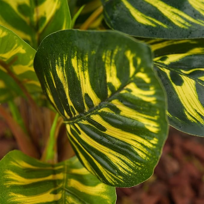 Reptile Terrarium Decor Plants, Bearded Dragon Tank Accessories fit Crested Gecko Leopard Lizard Chameleon Ball Python Snake Frog - Yellow Fake Prayer Peacock Plants WOLEDOE