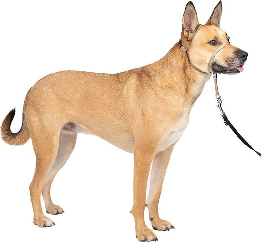 PetSafe Gentle Leader No-Pull Dog Headcollar - The Ultimate Solution to Pulling - Redirects Your Dog's Pulling for Easier Walks - Helps You Regain Control - Medium, Fawn PetSafe