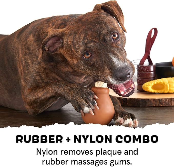 Barkbox Super Chewer Tough Dog Chew Toys for Aggressive Chewers, Dental Stimulating (Turkey - Large) - PAWPICO