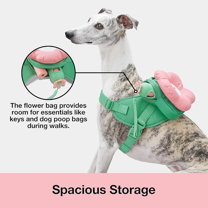 VETRESKA Flora Dog Harness, Leash and Collar Set, No Pull Dog Vest Harness for Walking and Training, Adjustable, Easy Control and Soft Padded Pet Harness and Backpack for Small Medium Large Dogs, S VETRESKA