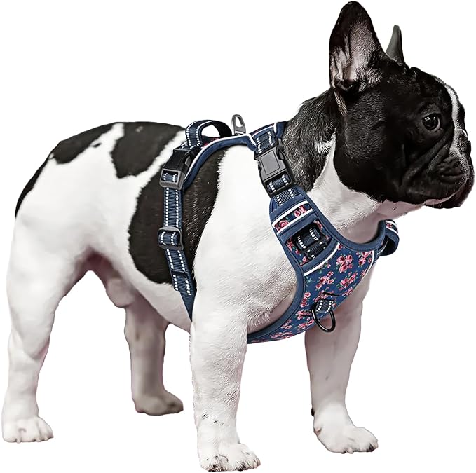 Timos Dog Harness, No Pull Dog Harness 3 Snap Buckles Adjustable Reflective No Choke Pet Vest for Small Dog with Soft Padded Control Training Handle for Outdoor Training,Flower Blue, XS Timos