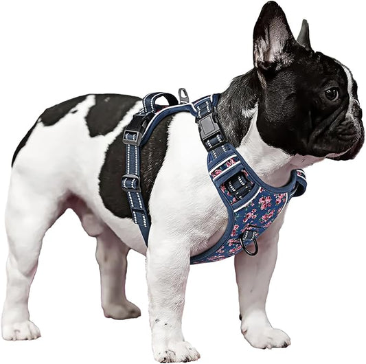 Timos Dog Harness, No Pull Dog Harness 3 Snap Buckles Adjustable Reflective No Choke Pet Vest for Small Dog with Soft Padded Control Training Handle for Outdoor Training,Flower Blue, XS Timos