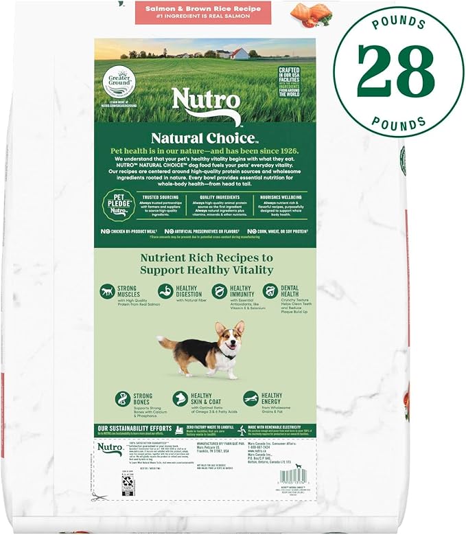 Nutro Natural Choice Small Bites Adult Dry Dog Food, Salmon & Brown Rice Recipe, 28 lb. Bag - PAWPICO