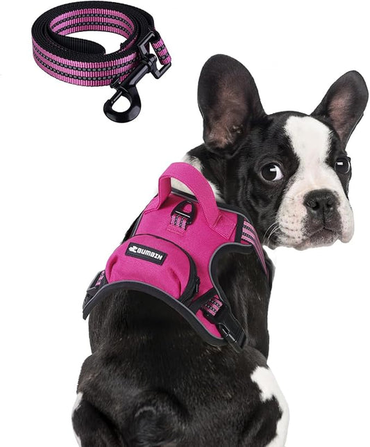 BUMBIN Dog Harness for Large Dogs, No Pull Adjustable No Choke Pet Vest with Dog Leash Fit Smart Reflective Pet Walking Harness for Training Easy Control Soft Handle Rose Red S BUMBIN