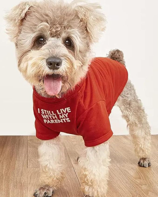 Cute Dog Clothes,Dog T Shirt for Medium Dogs.Dog Clothes for Small Dogs Girl Boy,Puppy.Breathable Soft Dog Costume Pet Dogs Cats,Pet Pullover Jumper,Cat Clothes (XL-(16~20lb), Chest~20", Red, Parents) - PAWPICO