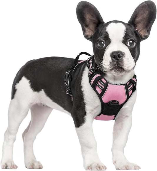 rabbitgoo Dog Harness No Pull with 2 Leash Clips, Adjustable Soft Padded, Reflective Oxford No Choke Pet Vest with Easy Control Handle for Small Dogs, Pink, S rabbitgoo