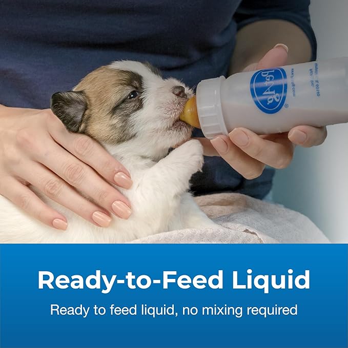 Pet-Ag Goat’s Milk Esbilac Liquid - 11 oz, Pack of 4 - Ready-to-Feed Puppy Formula with Vitamins, Minerals, and Trace Nutrients for Puppies Newborn to Six Weeks Old - for Sensitive Digestive Systems PetAg