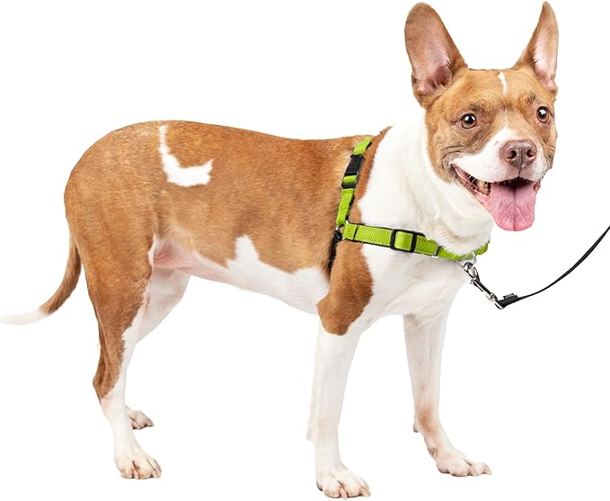 PetSafe Easy Walk Deluxe Dog Harness, No Pull Dog Harness – Perfect for Leash & Harness Training – Stops Pets from Pulling and Choking on Walks – Medium, Apple PetSafe